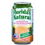 Florida's Natural Orange Juice [24 CT X 11.5 OZ ]
